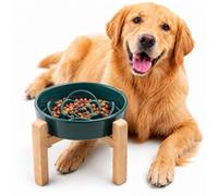 YWIY Elevated Ceramic Slow Feeder Dog Bowl with Stand 8.66in for Small&Medium Pet Raised Slow Feeder Dog Bowls Heavy Weighted Non-Toxic Non-Slip (Forest Green, for Medium&Large Size)