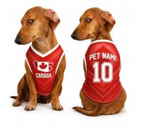 Ywkiyrs Custom Dog Sports Jersey - Personalised Mesh Vest with Back Name & Number, Breathable Pet Football Shirt for Small Medium Large Dogs, Idea, Sizes XS-XXXXXL