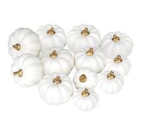 Ywlake Artificial Pumpkins 12Pcs Assorted Sizes Bulk White Harvest Lifelike Pumpkin Fake Foam Pumpkins Set for Fall Autumn Halloween Party Thanksgiving Holiday Decor Displaying