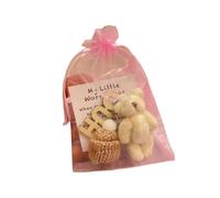 YWLUUOO Tiny Plush Bear with Inspirational Card Pocket Sized Soft Stuffed Toy Animal for Gifting Decoration Birthday Supplies Miniature Motivational Plush