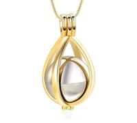Ywmsfl Companion Pet Ashes Necklace Hollow Memorial Pendant Cremation Jewelry with a Portable Design Hollow Pet Ashes Pendant