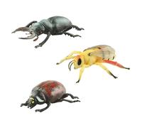 Ywmsfl Detailed PVC Model 3PCS for Kids Educational Project and Outdoor Nature Observation Classroom Teatching Toy Biology Teaching Aid for Children