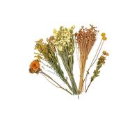 Ywmsfl Dried Flower Arrangement for Hamster Habitats Enhances Cage Aesthetic Naturally Natural Flower Hamster Bedding Colorful Floral Cage Set for Hamsters