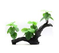 Ywmsfl Exquisites Driftwood Aquariums Large Fish Tanks Home Office Hotel Decoration For Fish And Shrimp Hide