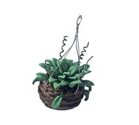Ywmsfl Miniature Hanging Potted Plant Figure 1/12 Doll House Landscape Accessory Scene Decors for Kids Creative Roleplay Toy Miniature Hanging Potted Plant