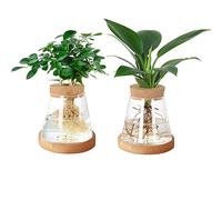 YWNYT 2pcs Plants Propagation Station, Glass Plant Terrarium Plant Propagation Planter Water Station Planting Glass Vase for Growing Hydroponic Home Office Table Decor