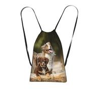 YWPCOIUYB Australian Shepherd Dogs Aussie Brown Dogs, Drawstring Sackpack Unisex String Bag Sport Gym Bag Casual Daypack Foldable Drawstring Backpack