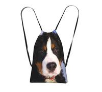 YWPCOIUYB Bernese Mountain Dog, Drawstring Sackpack Unisex String Bag Sport Gym Bag Casual Daypack Foldable Drawstring Backpack