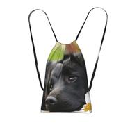 YWPCOIUYB Black Labrador Chamomile Black Retriever Dogs, Drawstring Sackpack Unisex String Bag Sport Gym Bag Casual Daypack Foldable Drawstring Backpack
