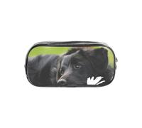 YWPCOIUYB Black Labrador Chamomile Black Retriever Dogs, Transparent Pencil Case Portable PVC Pen Pouch Stationery Bag for School Office