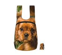 YWPCOIUYB Cavalier King Charles Spaniel Brown Curly Dogs, Foldable Storage Backpack Unisex Sackpack Sport Gym Bag Casual Daypack