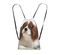 YWPCOIUYB Cavalier King Charles Spaniel Brown Spaniel, Drawstring Sackpack Unisex String Bag Sport Gym Bag Casual Daypack Foldable Drawstring Backpack