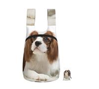 YWPCOIUYB Cavalier King Charles Spaniel Brown Spaniel, Foldable Storage Backpack Unisex Sackpack Sport Gym Bag Casual Daypack