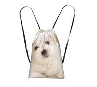 YWPCOIUYB Cute Maltese Puppy, Drawstring Sackpack Unisex String Bag Sport Gym Bag Casual Daypack Foldable Drawstring Backpack