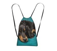 YWPCOIUYB Dachshund Dog, Drawstring Sackpack Unisex String Bag Sport Gym Bag Casual Daypack Foldable Drawstring Backpack