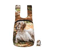 YWPCOIUYB English Setter Autumn Pets Dogs English, Foldable Storage Backpack Unisex Sackpack Sport Gym Bag Casual Daypack
