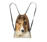 YWPCOIUYB Lovely Sheltie Dog, Drawstring Sackpack Unisex String Bag Sport Gym Bag Casual Daypack Foldable Drawstring Backpack