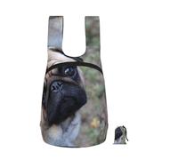YWPCOIUYB Pug Dog Printed, Foldable Storage Backpack Unisex Sackpack Sport Gym Bag Casual Daypack