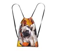 YWPCOIUYB Puppys Pug, Drawstring Sackpack Unisex String Bag Sport Gym Bag Casual Daypack Foldable Drawstring Backpack