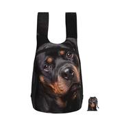 YWPCOIUYB Rottweiler - Loving Confident And Loyal, Foldable Storage Backpack Unisex Sackpack Sport Gym Bag Casual Daypack