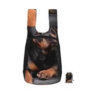 YWPCOIUYB Rottweiler Loving Confident And Loyal, Foldable Storage Backpack Unisex Sackpack Sport Gym Bag Casual Daypack