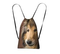 YWPCOIUYB Rough Collie Lassie Dogs Big Fluffy Dogs Pets, Drawstring Sackpack Unisex String Bag Sport Gym Bag Casual Daypack Foldable Drawstring Backpack