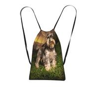 YWPCOIUYB Schnauzer Sunset Dogs Pets Mountains Schnauzer, Drawstring Sackpack Unisex String Bag Sport Gym Bag Casual Daypack Foldable Drawstring Backpack
