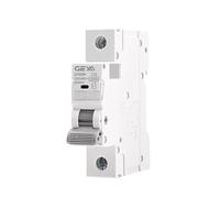 YWRWUPMGK GYM9H 1P 10KA Breaking Capacity MCB Din Rail 230V 400V Mini Circuit Breaker 6A-63A AC Type Direct(10A)