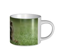 YWSOTRE Cute Raccoon Fashion Printed, Large-Capacity Ceramics Mug Tea Cup Coffee Mugs Ceramic Cup 450 ml