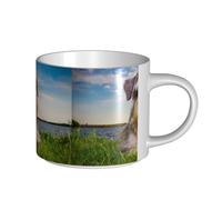 YWSOTRE Schnauzer Lawn Pets Gray Dogs Chnauzer, Large-Capacity Ceramics Mug Tea Cup Coffee Mugs Ceramic Cup 450 ml