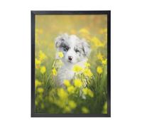 YXDVPALNE Australian Shepherd Dogs Mall White Puppy, Wall Art Prints Black Frame Decorative Painting Wall Hanging For Home 30 x 40 cm