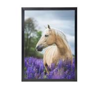 YXDVPALNE Beautiful Palomino Horse Lavender, Wall Art Prints Black Frame Decorative Painting Wall Hanging For Home 30 x 40 cm