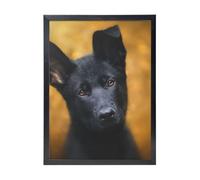 YXDVPALNE Black German Shepherd Dog Printed, Wall Art Prints Black Frame Decorative Painting Wall Hanging For Home 30 x 40 cm