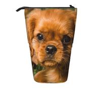 YXDVPALNE Cavalier King Charles Spaniel Brown Curly Dogs,Telescopic Pencil Case,Stand Pencil Holder with Zipper Pencil Pouch Pen Bag