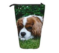YXDVPALNE Cavalier King Charles Spaniel Brownish White,Telescopic Pencil Case,Stand Pencil Holder with Zipper Pencil Pouch Pen Bag