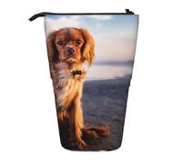 YXDVPALNE Cavalier King Charles Spaniel Coast Pets Dogs,Telescopic Pencil Case,Stand Pencil Holder with Zipper Pencil Pouch Pen Bag