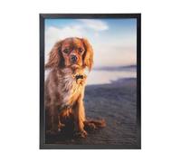 YXDVPALNE Cavalier King Charles Spaniel Coast Pets Dogs, Wall Art Prints Black Frame Decorative Painting Wall Hanging For Home 30 x 40 cm