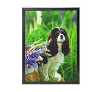 YXDVPALNE Cavalier King Charles Spaniel Dog Lupin Flowers, Wall Art Prints Black Frame Decorative Painting Wall Hanging For Home 30 x 40 cm
