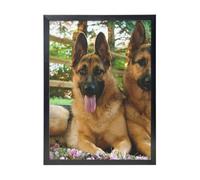 YXDVPALNE Colorful Cute Pet German Shepherd Dog, Wall Art Prints Black Frame Decorative Painting Wall Hanging For Home 30 x 40 cm