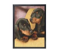 YXDVPALNE Dachshund Puppies Pets Dogs Small Dachshund, Wall Art Prints Black Frame Decorative Painting Wall Hanging For Home 30 x 40 cm