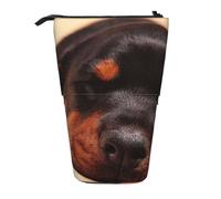YXDVPALNE Doberman Puppy Sleeping Dogs Pets Dogs Doberman,Telescopic Pencil Case,Stand Pencil Holder with Zipper Pencil Pouch Pen Bag
