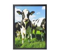YXDVPALNE Eating Cows On Summer Pasture, Wall Art Prints Black Frame Decorative Painting Wall Hanging For Home 30 x 40 cm