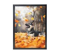 YXDVPALNE German Shepherd And Falling Leaves, Wall Art Prints Black Frame Decorative Painting Wall Hanging For Home 30 x 40 cm