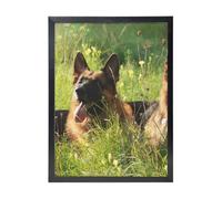 YXDVPALNE German Shepherd Dog Pattern, Wall Art Prints Black Frame Decorative Painting Wall Hanging For Home 30 x 40 cm