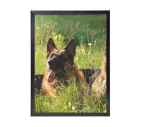 YXDVPALNE German Shepherd Dog Printed, Wall Art Prints Black Frame Decorative Painting Wall Hanging For Home 30 x 40 cm