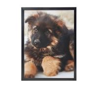 YXDVPALNE German Shepherd Puppy, Wall Art Prints Black Frame Decorative Painting Wall Hanging For Home 30 x 40 cm