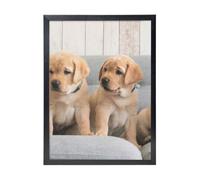YXDVPALNE Golden Retriever Dogs Puppies Labrador Dogs, Wall Art Prints Black Frame Decorative Painting Wall Hanging For Home 30 x 40 cm