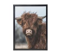 YXDVPALNE Highland Cow Scottish Wildlife, Wall Art Prints Black Frame Decorative Painting Wall Hanging For Home 30 x 40 cm