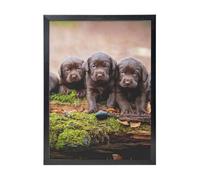 YXDVPALNE Labrador Puppies Brown Little Puppies Family, Wall Art Prints Black Frame Decorative Painting Wall Hanging For Home 30 x 40 cm