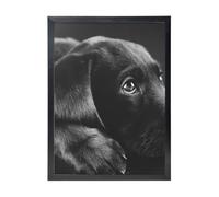 YXDVPALNE Lovely Black Labrador Dog, Wall Art Prints Black Frame Decorative Painting Wall Hanging For Home 30 x 40 cm